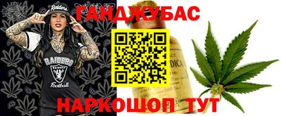 сатива Ачхой-Мартан