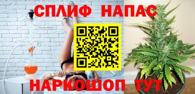 сатива Ачхой-Мартан