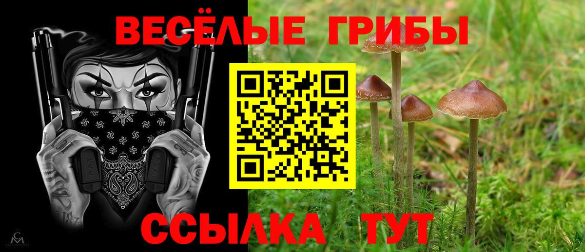 Белгород  Галлюциногенные грибы мухоморы  Вход с VPN 