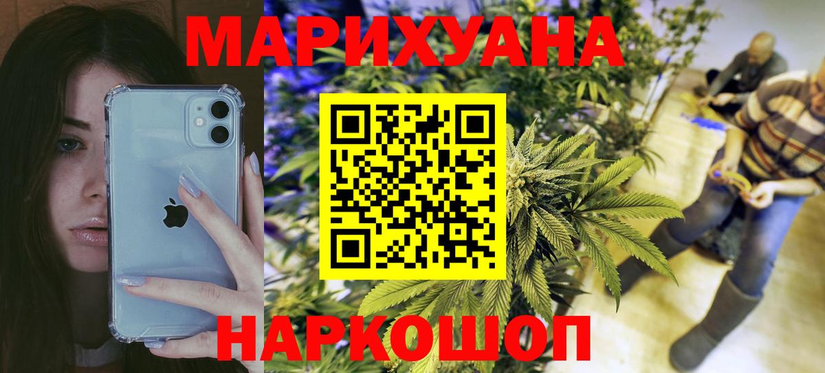 Каннабис OG Kush  Каннабис сатива  Шишки марихуана планчик  Вход с VPN  Белгород 